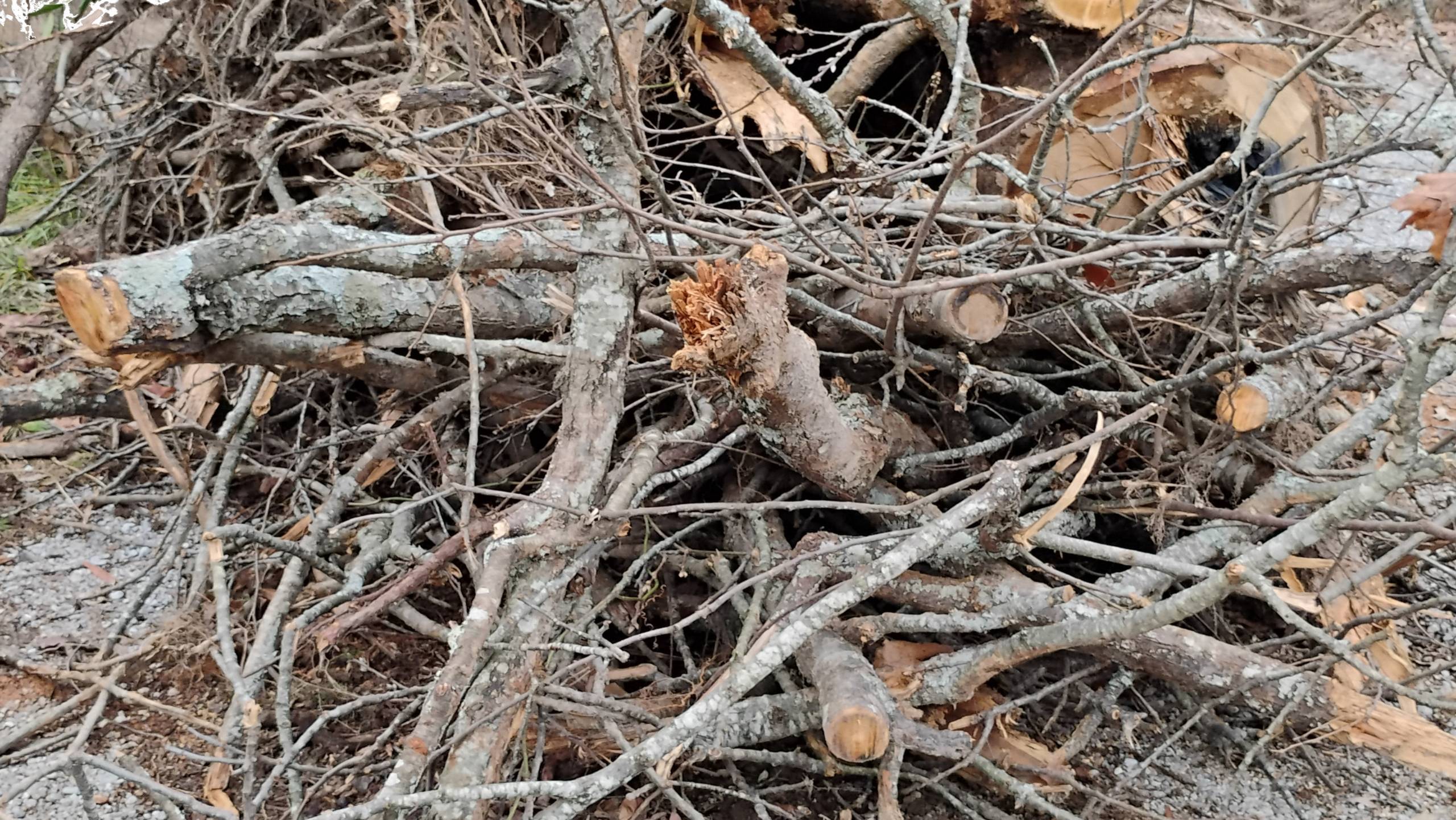 storm-debris-prattville-alabama